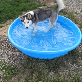 Entry image for Sophie or Vanya 