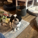 Entry image for Elvie