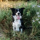 Entry image for Winnie