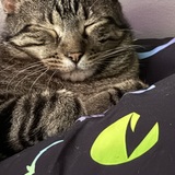 Entry image for Ozzy Osborne