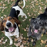 Entry image for Winnie and Dewey