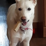 Entry image for Daisy Mae