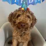 Entry image for Murphy 