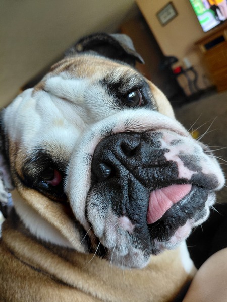 Entry image for Cuddles. Clicking this image will show a larger photo