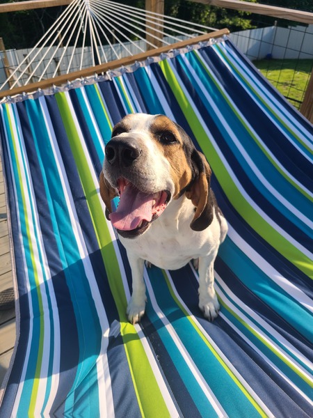 Entry image for Johnny. Clicking this image will show a larger photo