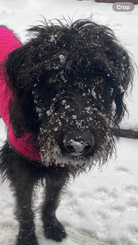 Entry image for Vida. Clicking this image will show a larger photo