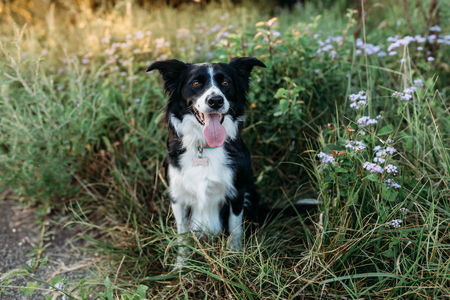 Entry image for Winnie. Clicking this image will show a larger photo