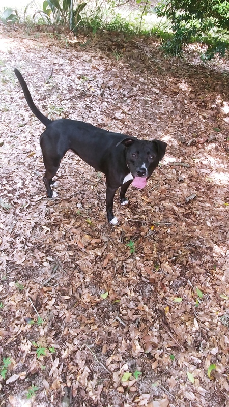 Entry image for Sissy. Clicking this image will show a larger photo