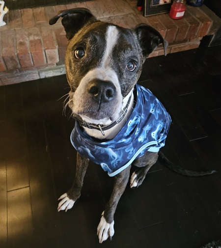 Entry image for Akilah. Clicking this image will show a larger photo