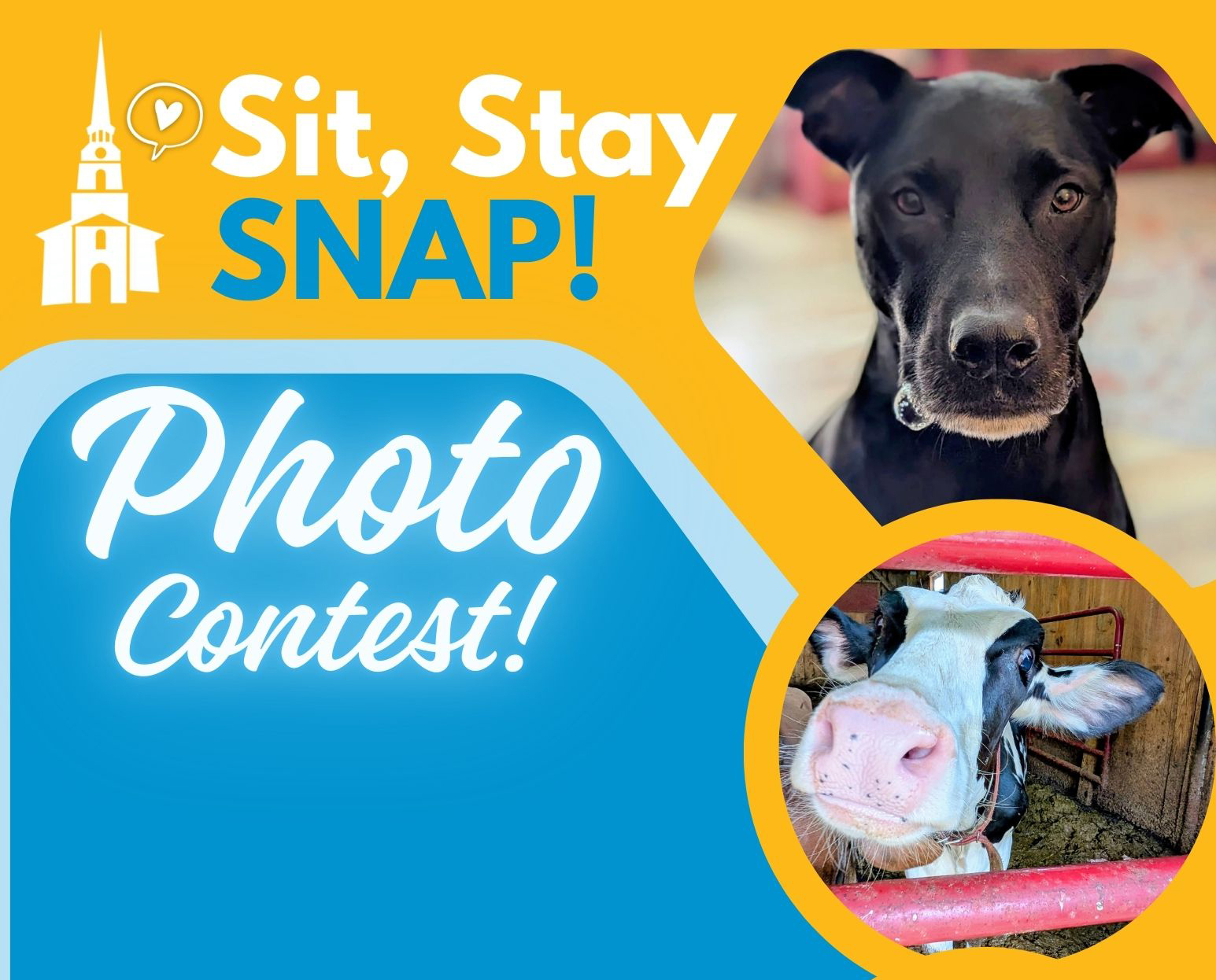 Banner for Sit, Stay, Snap!