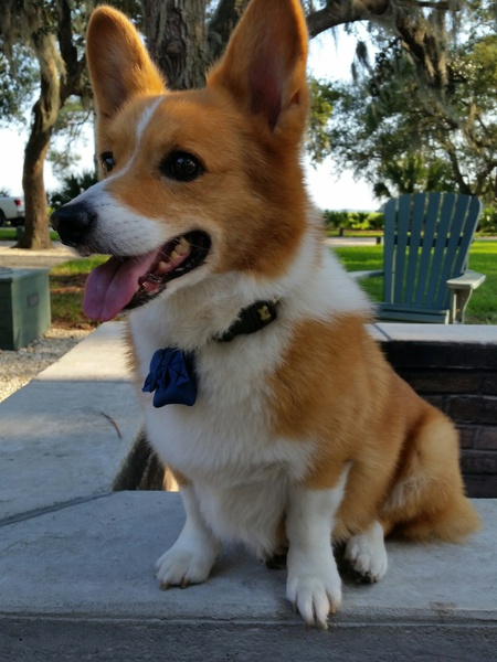 Max