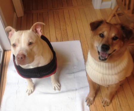Bailey & Gigi
