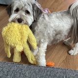 Entry image for Tina