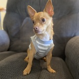 Entry image for Bishop