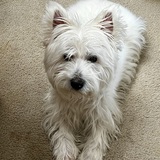 Entry image for Jackson