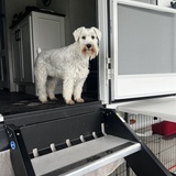 Entry image for Grayson 