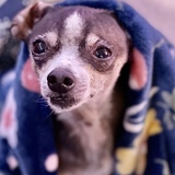 Entry image for Tobias