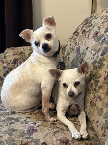 Entry image for Neo and Trinity . Clicking this image will show a larger photo