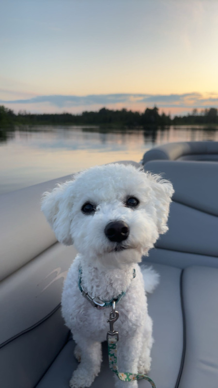Entry image for Addie. Clicking this image will show a larger photo