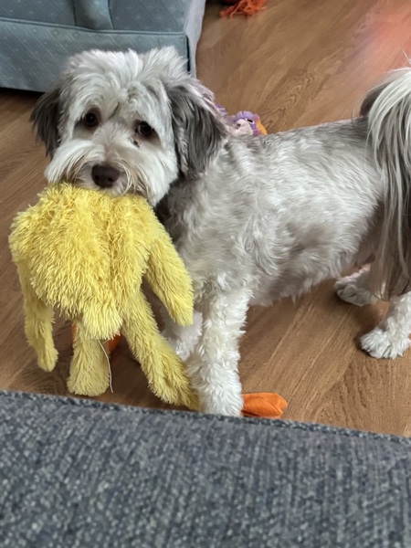 Entry image for Tina. Clicking this image will show a larger photo