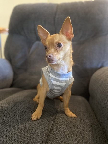 Entry image for Bishop. Clicking this image will show a larger photo