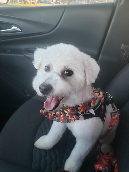 Entry image for KC. Clicking this image will show a larger photo