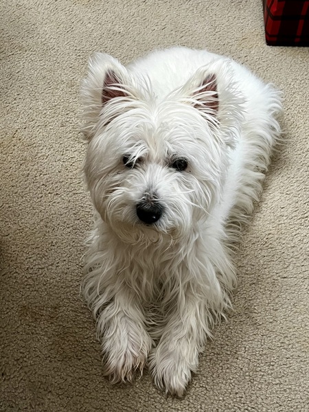 Entry image for Jackson. Clicking this image will show a larger photo