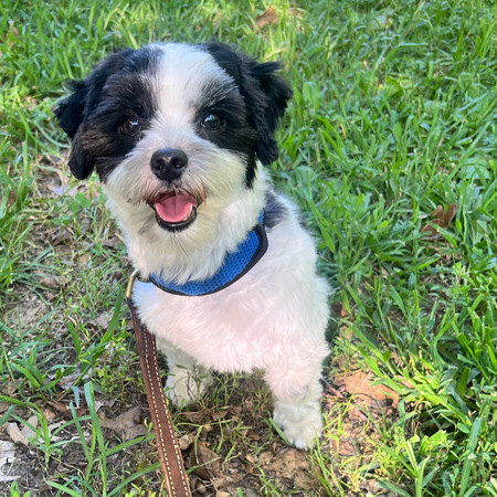 Entry image for Max. Clicking this image will show a larger photo