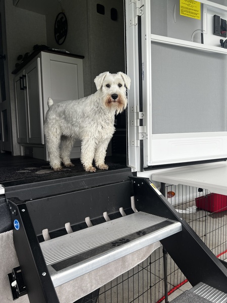 Entry image for Grayson . Clicking this image will show a larger photo