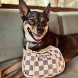 Entry image for Gidget