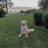 Entry image for Cooper