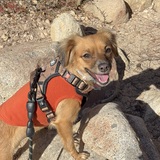 Entry image for Mali