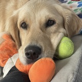 Entry image for Bailey