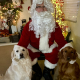 Entry image for Cano and Lili