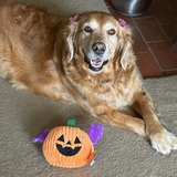 Entry image for Peggy