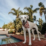 Entry image for Penny 