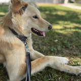 Entry image for Ultra