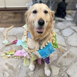 Entry image for Colby 