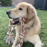 Entry image for Jerry