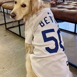 Entry image for Sugar