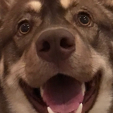 Entry image for Uffe