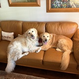 Entry image for Elsie & Bernie 