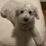 Entry image for Bibiana ready for bed!