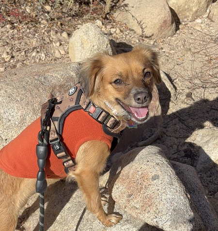 Entry image for Mali. Clicking this image will show a larger photo