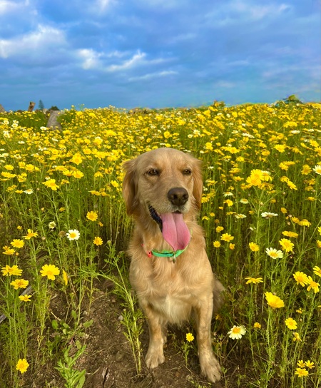 Entry image for Jackie. Clicking this image will show a larger photo