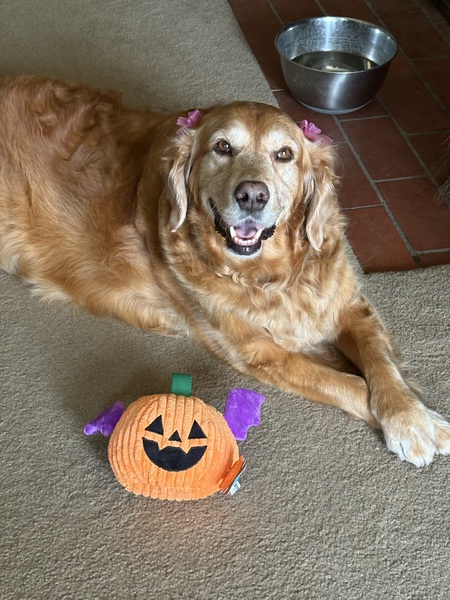 Entry image for Peggy. Clicking this image will show a larger photo