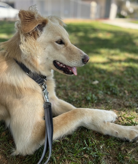 Entry image for Ultra. Clicking this image will show a larger photo