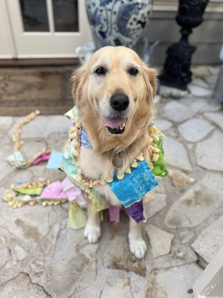 Entry image for Colby . Clicking this image will show a larger photo