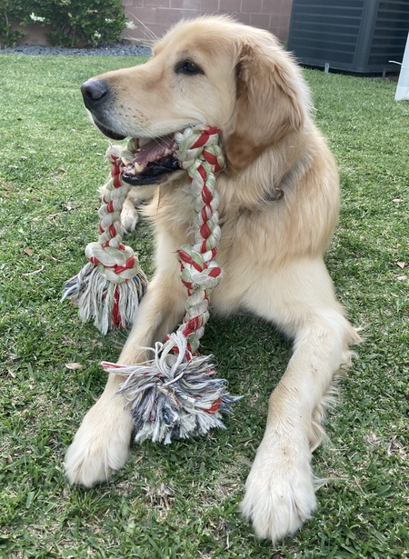 Entry image for Jerry. Clicking this image will show a larger photo