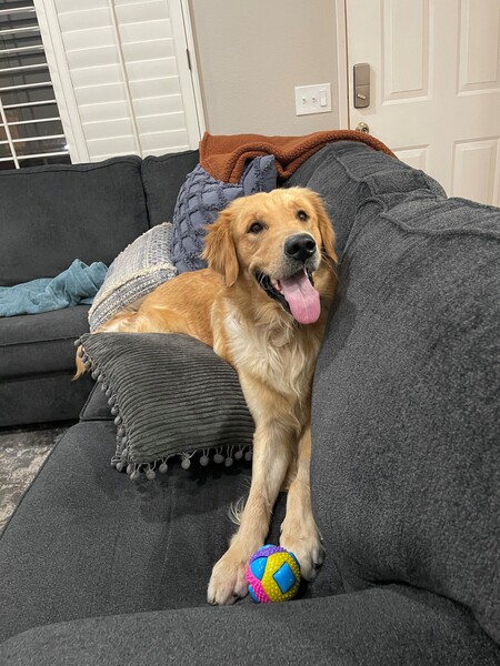 Entry image for Maverick. Clicking this image will show a larger photo